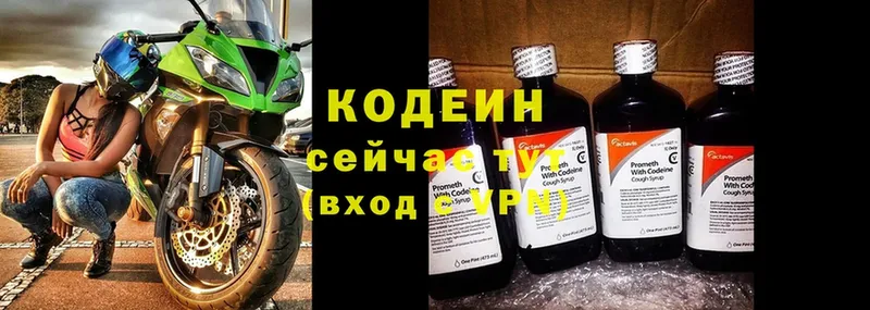 ссылка на мегу вход  Ершов  Кодеин Purple Drank 